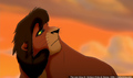 sp_screengrab_740.jpg