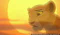 sp_screengrab_741.jpg