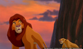 sp_screengrab_752.jpg