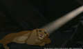 sp_screengrab_753.jpg