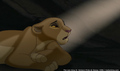 sp_screengrab_754.jpg