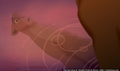 sp_screengrab_762.jpg