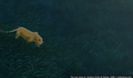 sp_screengrab_765.jpg