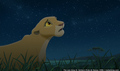 sp_screengrab_767.jpg