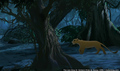 sp_screengrab_770.jpg