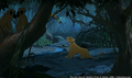 sp_screengrab_771.jpg