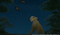 sp_screengrab_772.jpg