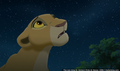 sp_screengrab_773.jpg