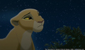 sp_screengrab_775.jpg