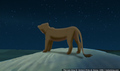 sp_screengrab_778.jpg