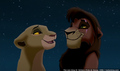 sp_screengrab_796.jpg