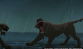 sp_screengrab_848.jpg