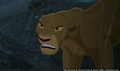 sp_screengrab_854.jpg