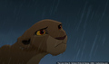 sp_screengrab_873.jpg