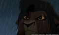sp_screengrab_874.jpg