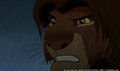 sp_screengrab_883.jpg