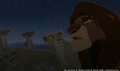 sp_screengrab_885.jpg