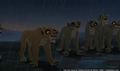 sp_screengrab_887.jpg
