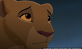 sp_screengrab_890.jpg