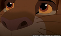 sp_screengrab_891.jpg