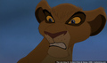 sp_screengrab_893.jpg