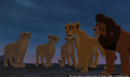 sp_screengrab_895.jpg