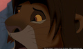sp_screengrab_908.jpg