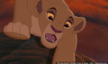 sp_screengrab_913.jpg