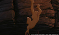 sp_screengrab_919.jpg