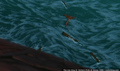 sp_screengrab_921.jpg