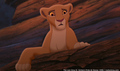 sp_screengrab_925.jpg