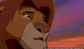 sp_screengrab_932.jpg