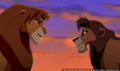 sp_screengrab_933.jpg