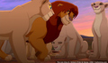 sp_screengrab_950.jpg