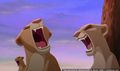 sp_screengrab_958.jpg