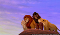 sp_screengrab_959.jpg