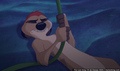 tp_screengrab_224.jpg