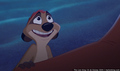 tp_screengrab_228.jpg