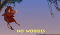 tp_screengrab_254.jpg