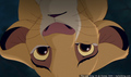tp_screengrab_286.jpg