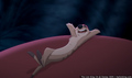 tp_screengrab_431.jpg