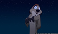 tp_screengrab_460.jpg