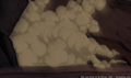 tp_screengrab_474.jpg