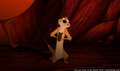 tp_screengrab_498.jpg
