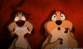 tp_screengrab_510.jpg