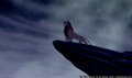 tp_screengrab_532.jpg