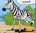 220px caption