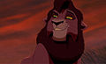 Kovu Adult.jpg