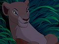 Nala the LOOK600.jpg