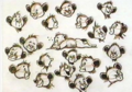 Thumbnail for version as of 20:05, 2 July 2010